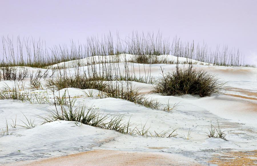Anastasia Sand Dunes No. 3 Photograph by Carol Eade