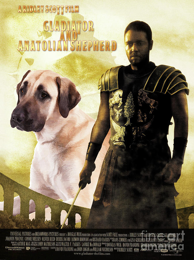 Anatolian Shepherd Art Canvas Print - Gladiator Movie Poster Painting by Sandra Sij