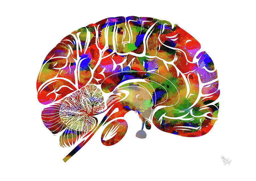 Anatomical Brain Mixed Media by Ann Leech