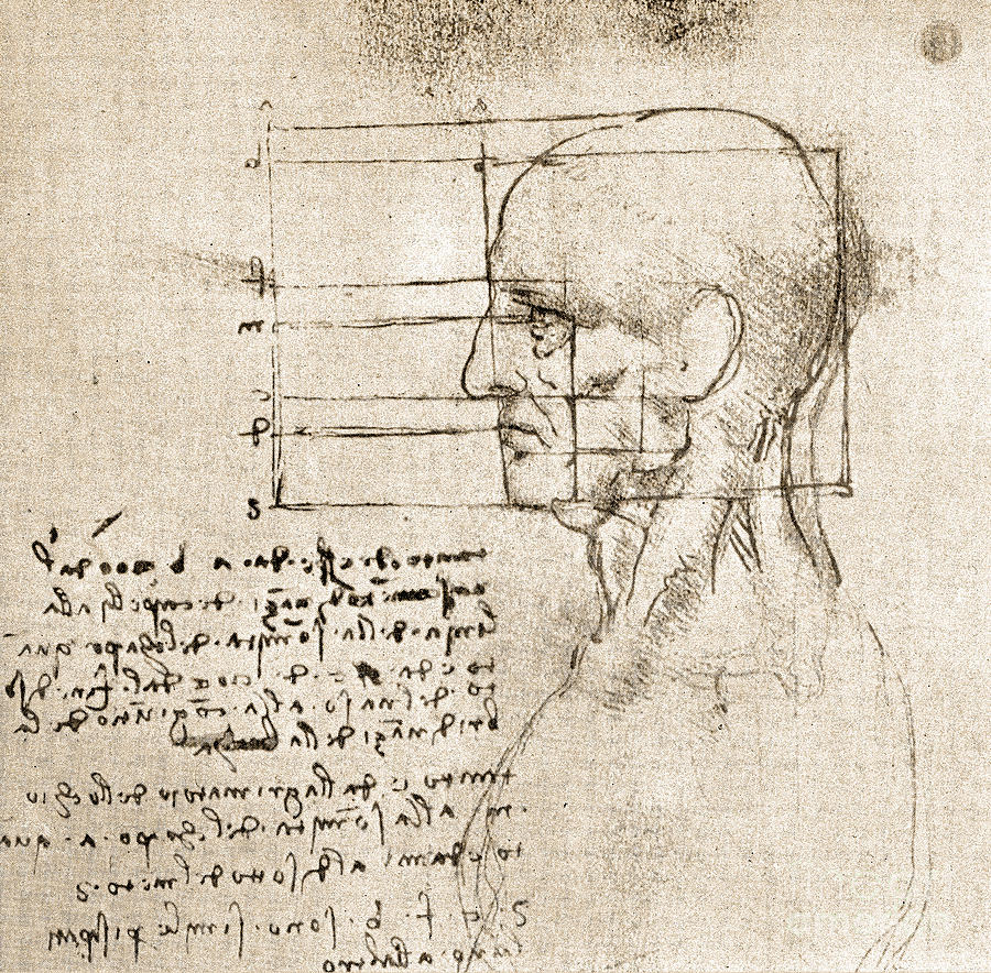 Anatomical Drawing By Leonardo Da Vinci Photograph by Wellcome Images ...