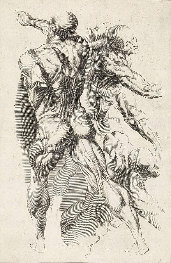 Anatomical study of three figures with outstretched arms Paulus Pontius ...