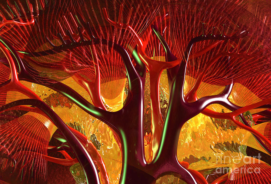 Anatomy Abstract #1 Kidney Digital Art by Russell Kightley