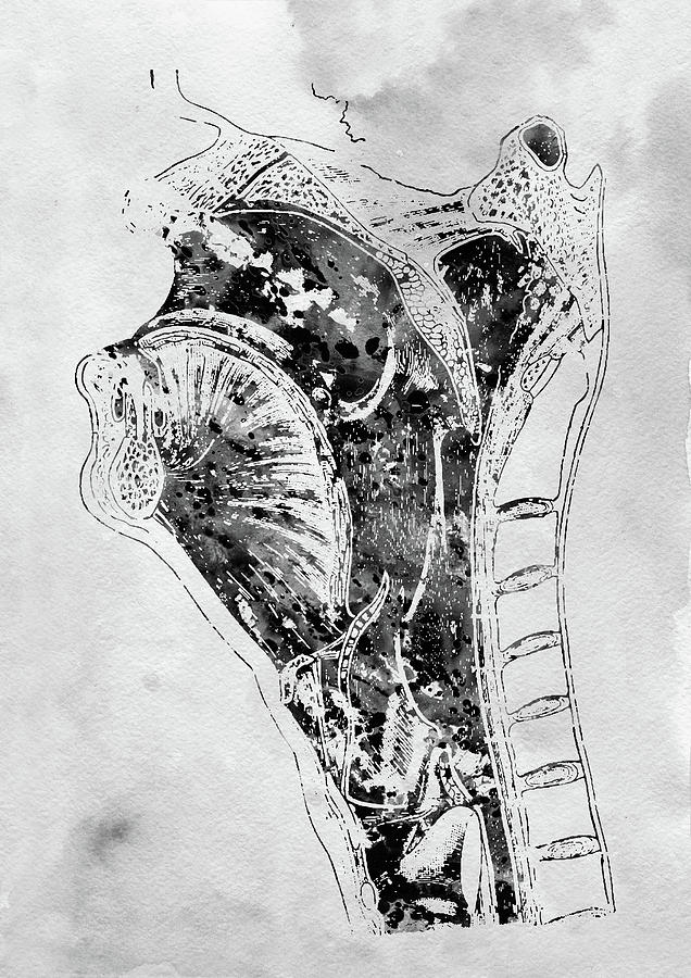 Anatomy head and neck x Digital Art by Erzebet S - Fine Art America
