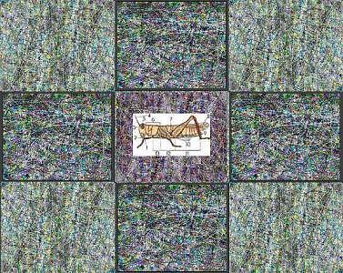 Nature Painting - Anatomy Of A Grasshopper by Peter Schwartz Nature Painting - Anatomy Of A Grasshopper by Peter Schwartz