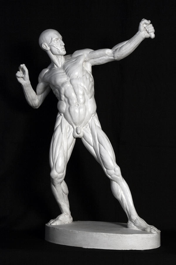 Anatomy of Archer Sculpture by Andrea Felice