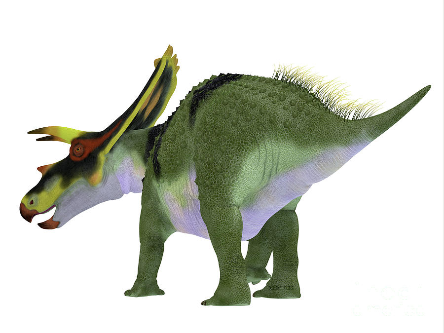 Anchiceratops Dinosaur Tail Digital Art