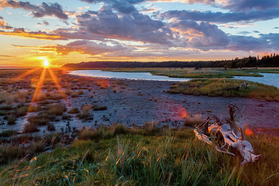 Anchorage Coastal Wildlife Refuge Photograph by Scott Slone