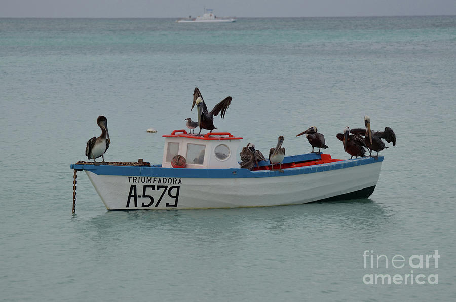Anchored Fishing Boat in the Tropical Waters off Aruba Photograph by DejaVu Designs