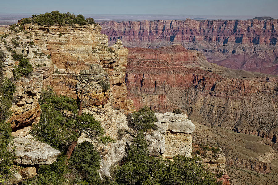 Grand Canyon National Park Photograph - Anchored in Love by Lucinda Walter