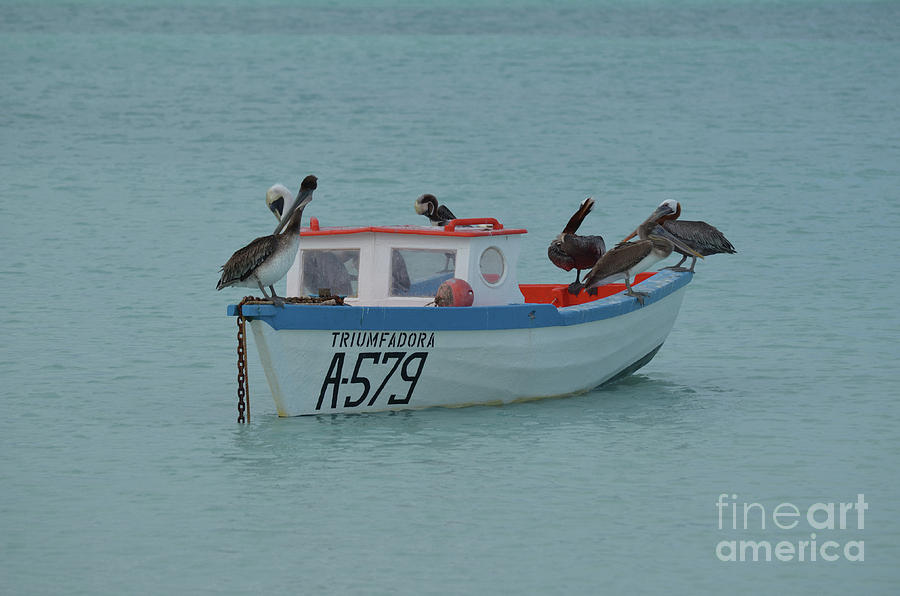 Anchored Wood Fishing Boat in Aruba Photograph by DejaVu Designs