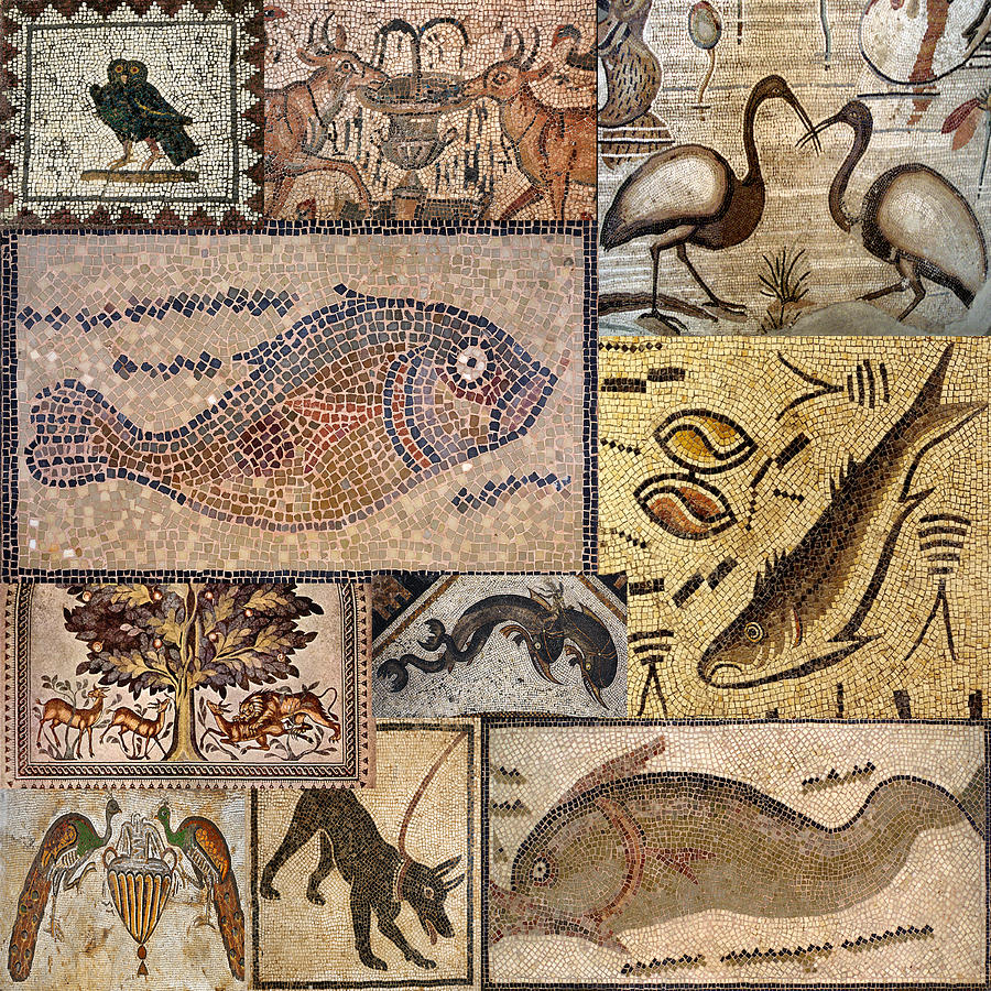 Ancient Animal Mosaics Photograph by Andrew Fare