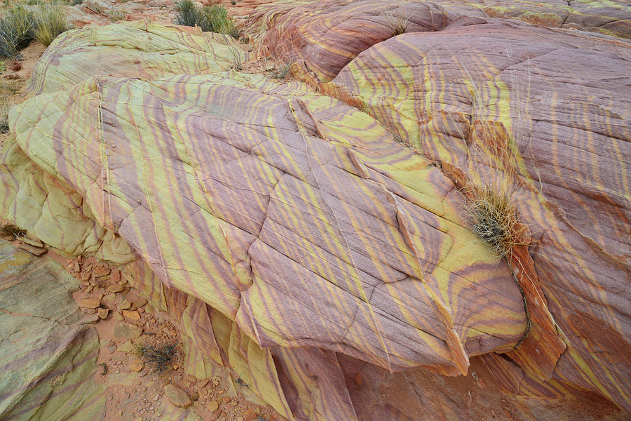 Ancient Artwork in Valley of Fire Photograph by Ray Mathis