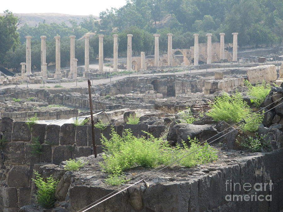 Bet Shean Ancient City Center Photograph by Donna L Munro