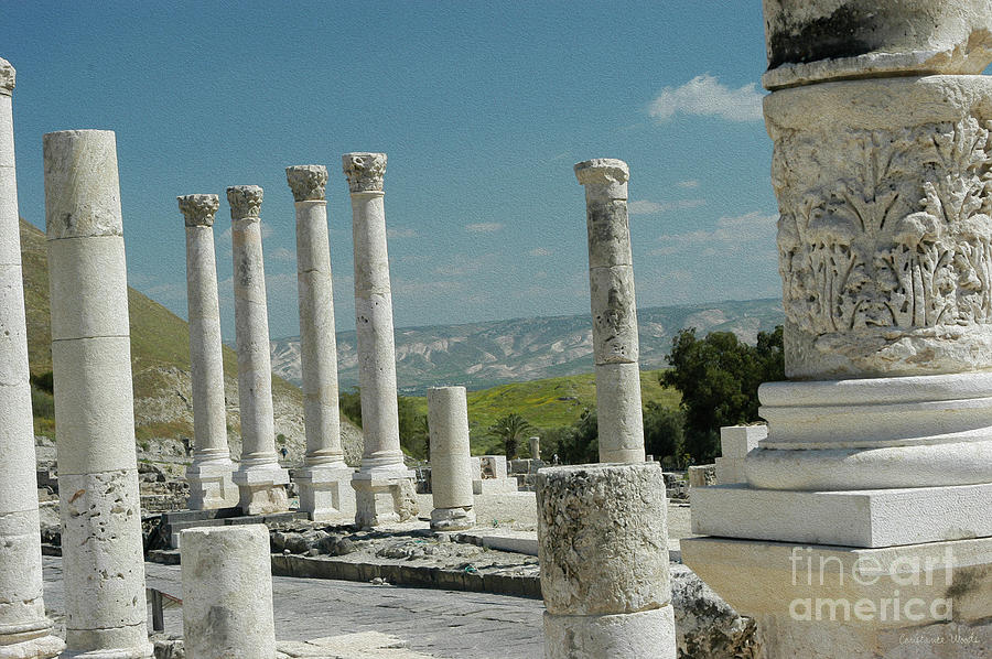 Ancient Columns Capernaum Photograph by Constance Woods