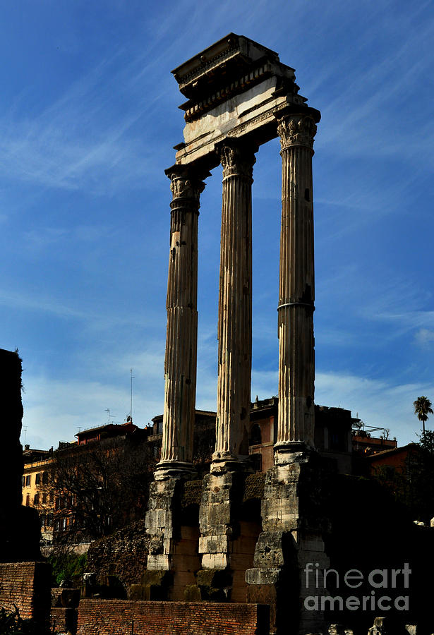 Ancient Columns in Rome Photograph by Eric Liller