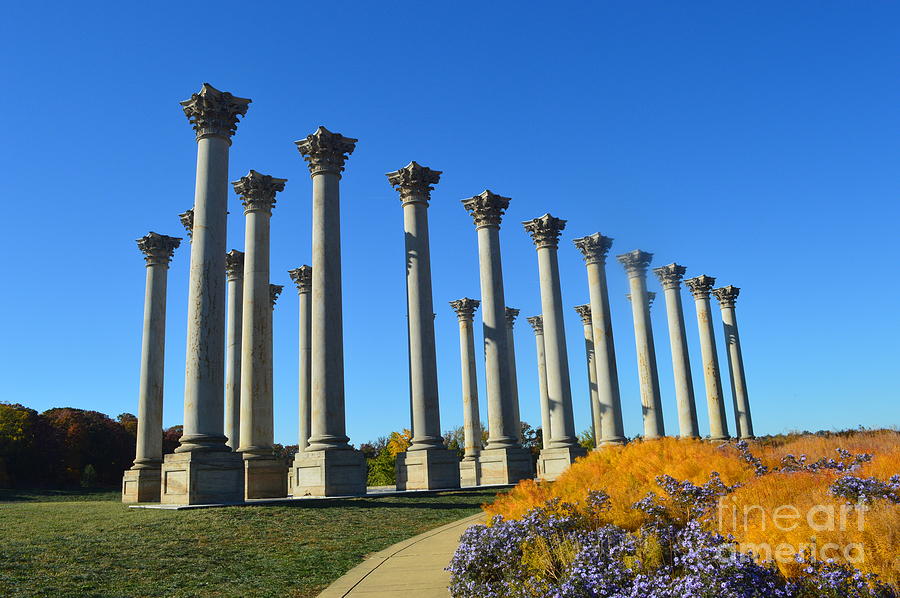 Ancient Corinthian Columns  Photograph by Nona Kumah