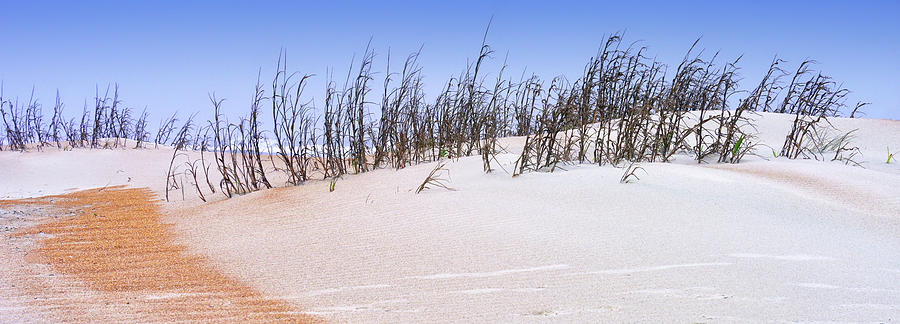 Ancient Dunes Photograph by Carol Eade