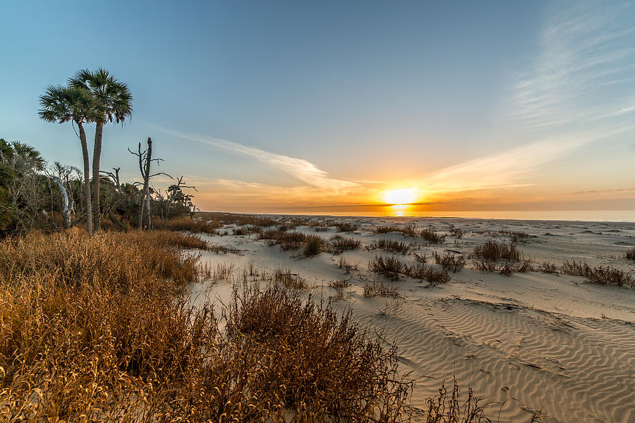 Ancient Dunes Walk Sunrise - Dewees Island Photograph by Donnie Whitaker