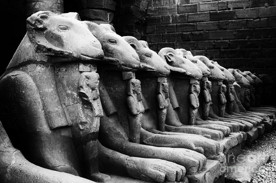 Ancient Egypt Karnak Temple 2 Photograph by Bob Christopher