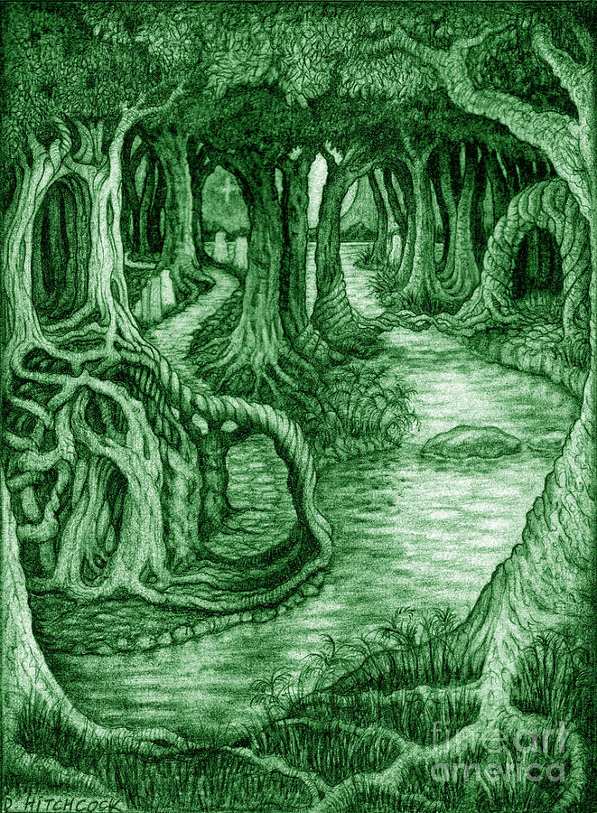 Ancient Forest Drawing by Debra Hitchcock