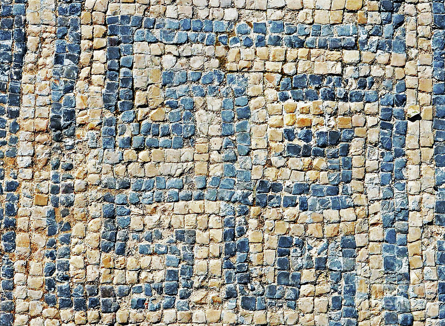 Ancient Mosaic  Photograph by Lydia Holly