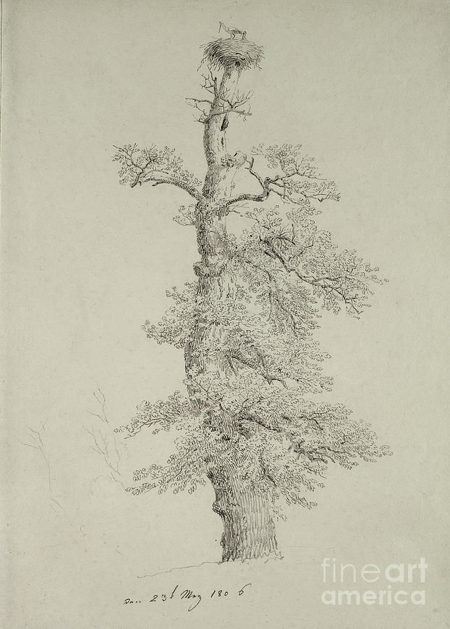 Caspar David Friedrich Painting - Ancient Oak Tree With A Stork Nest by MotionAge Designs