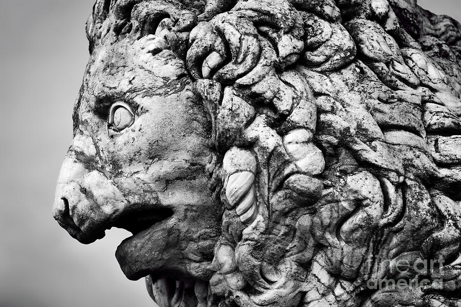 Ancient sculpture of The Medici Lion. Florence, Italy Photograph by Michal Bednarek