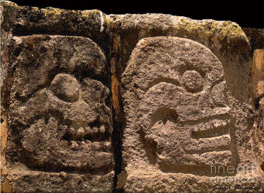 Ancient Skulls Photograph by Susan Vineyard