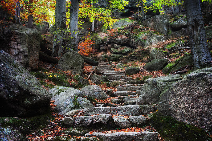 Ancient Stairs in Mountain Forest Photograph by Artur Bogacki