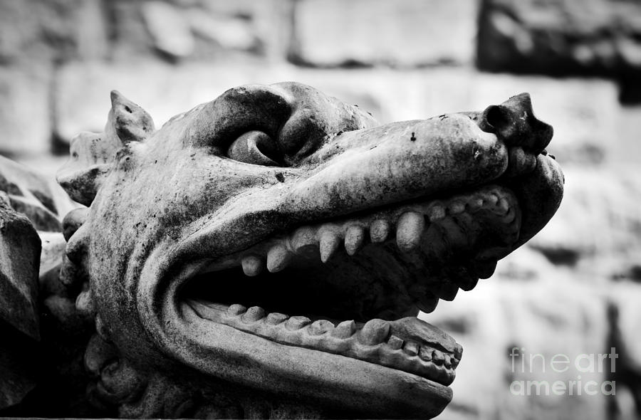 Ancient style sculpture of angry wolf in Florence, Italy Photograph by Michal Bednarek