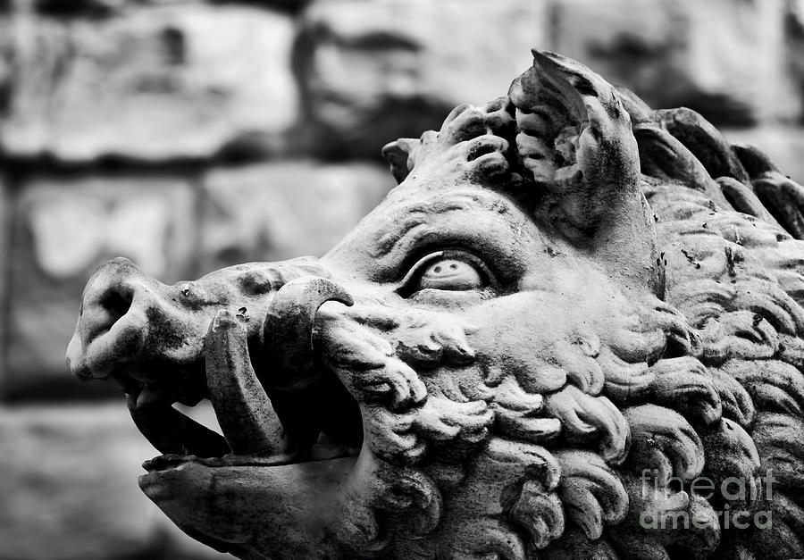 Ancient style sculpture of Wild boar in Florence, Italy Photograph by Michal Bednarek