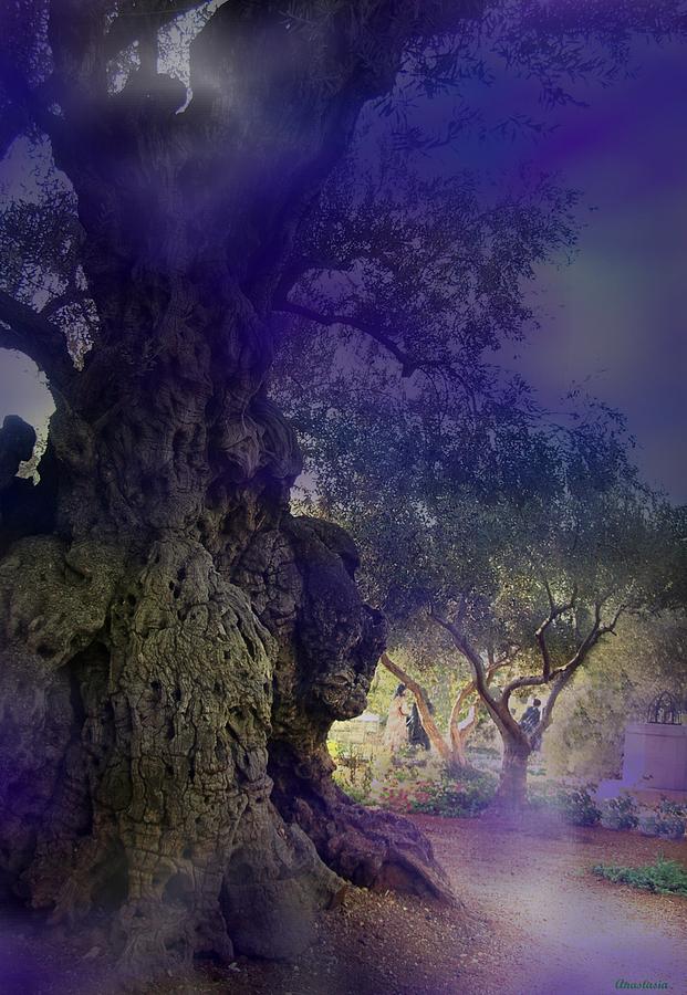 Ancient Witness Tree Garden of Gethsemane Vision Photograph by Anastasia Savage Ealy