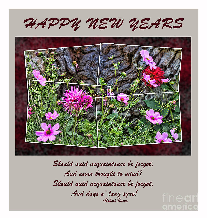 And days O Lang Syne II Photograph by Jim Fitzpatrick