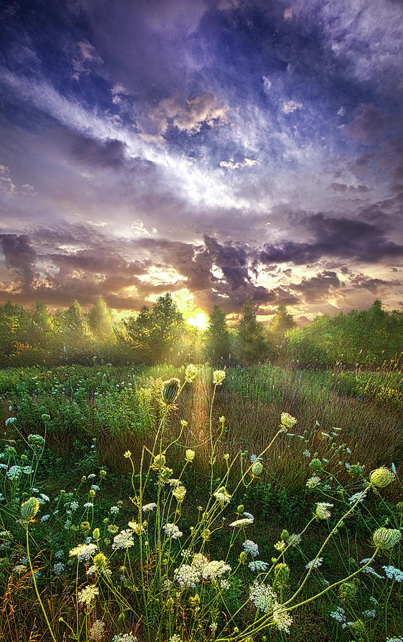 And In The Naked Light I Saw Photograph by Phil Koch