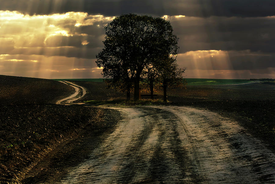 An old forgotten road Photograph by Jaroslaw Blaminsky