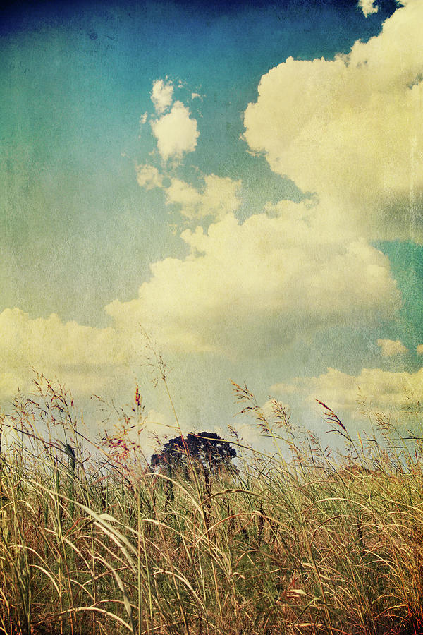 Clouds Photograph - And The Livins Easy by Laurie Search Clouds Photograph - And The Livins Easy by Laurie Search