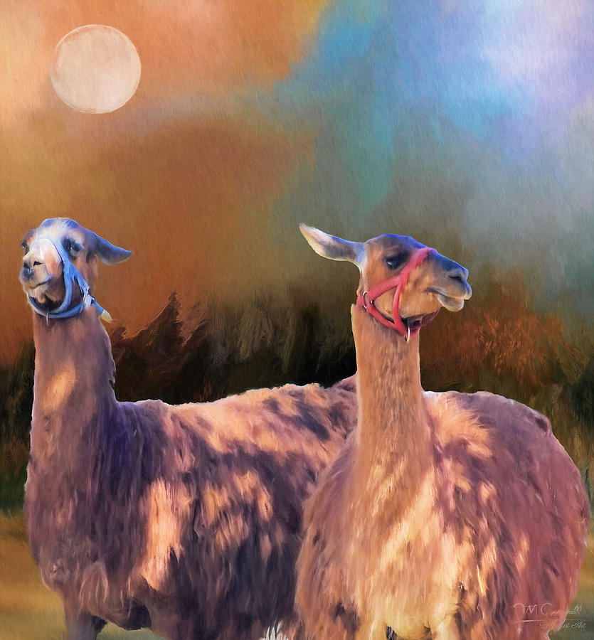 Llama Photograph - And They Danced By The Light of the Moon by Theresa Campbell