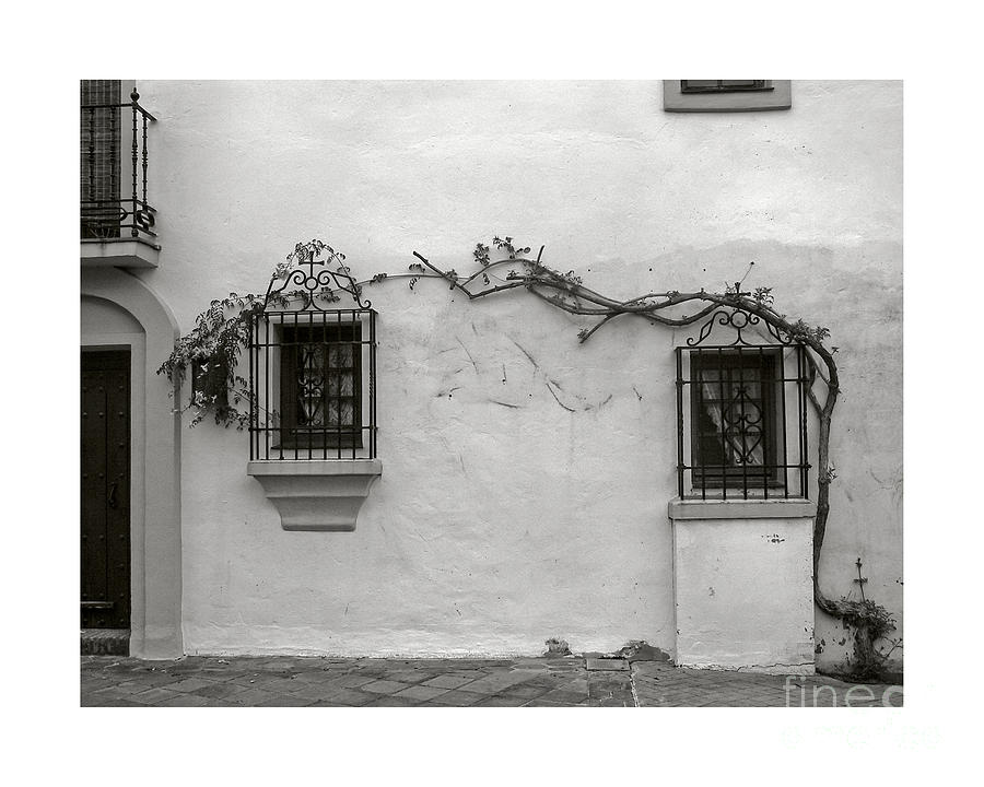Andalucia Wall Photograph by Thomas Marchessault