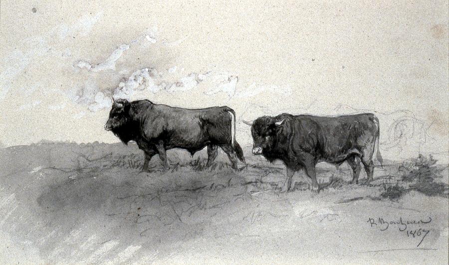 Andalusian Bulls Painting by Rosa Bonheur