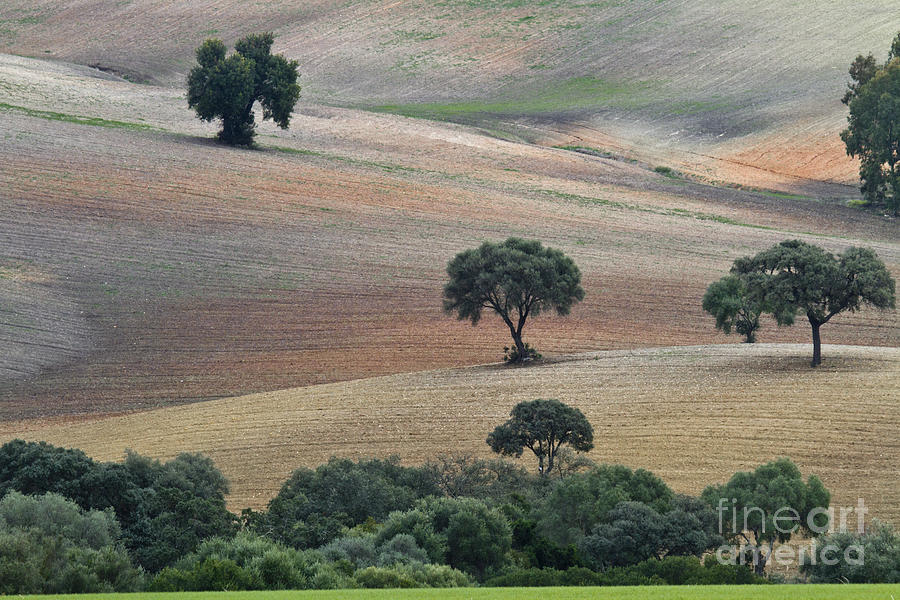 Andalusian Landscape Photograph by Heiko Koehrer-Wagner