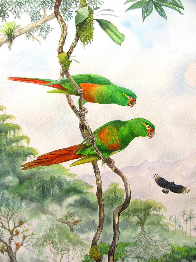 Bird Painting - Andean colors by Robin Schiele