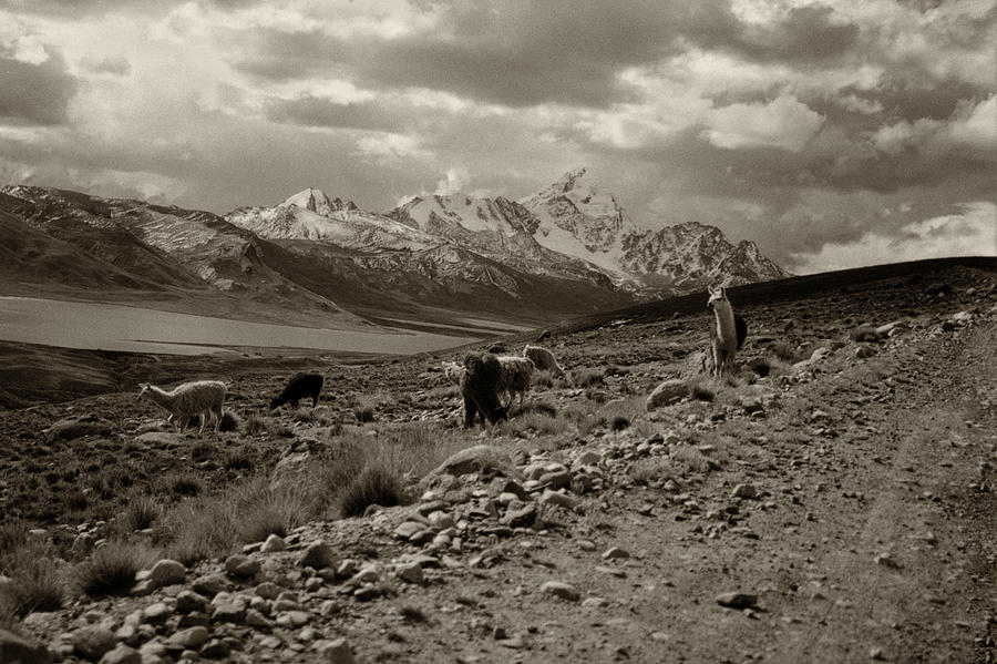 Andean Landscape Photograph by Amarildo Correa