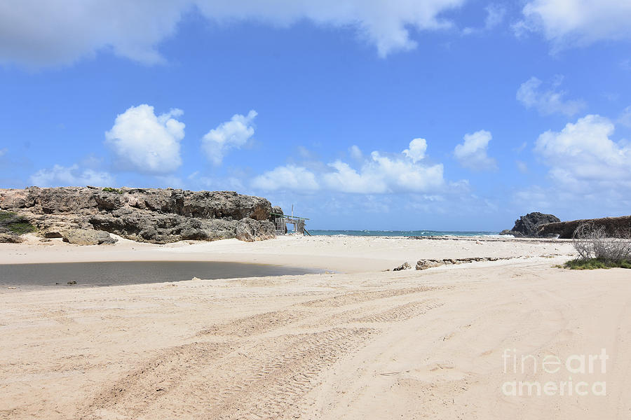 Andicuri Beach with White Sand in Aruba Photograph by DejaVu Designs