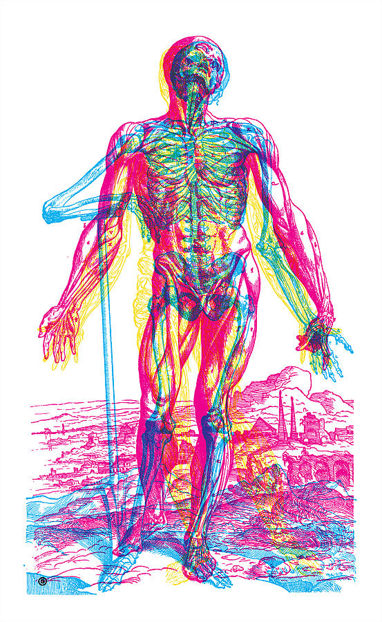 Andreae Vesalii Anatomy 2 Painting by Gary Grayson
