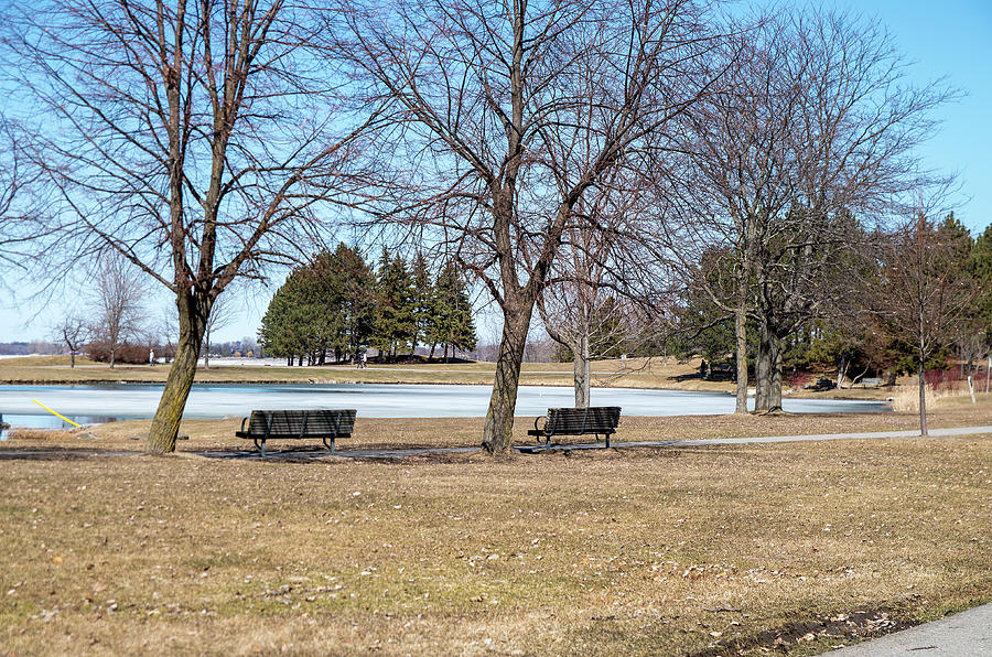 Andrew Haydon Park in Spring Photograph by Bob Corson