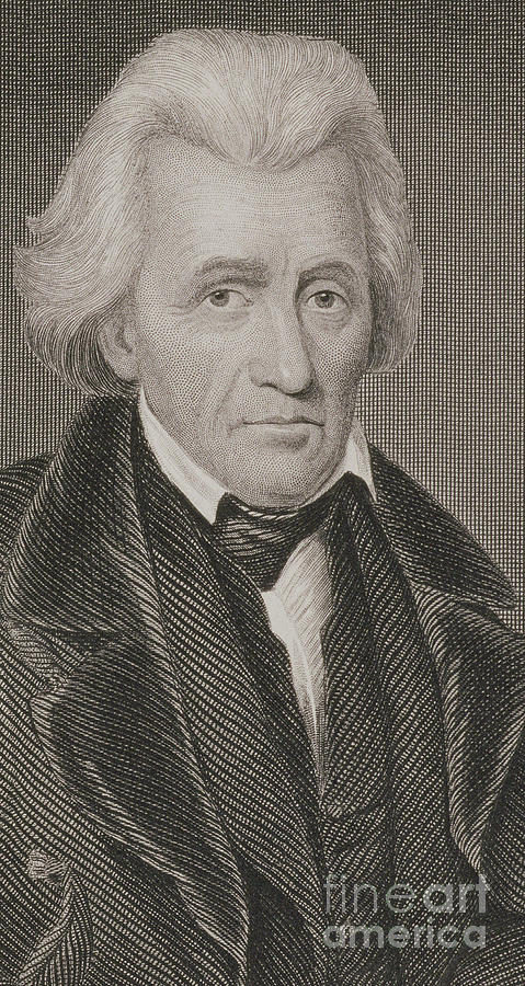 Andrew Jackson Drawing by John Wood Dodge