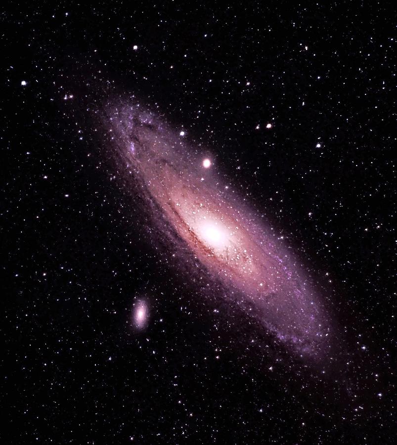 M31 Andromeda Galaxy Photograph by Alan Conder