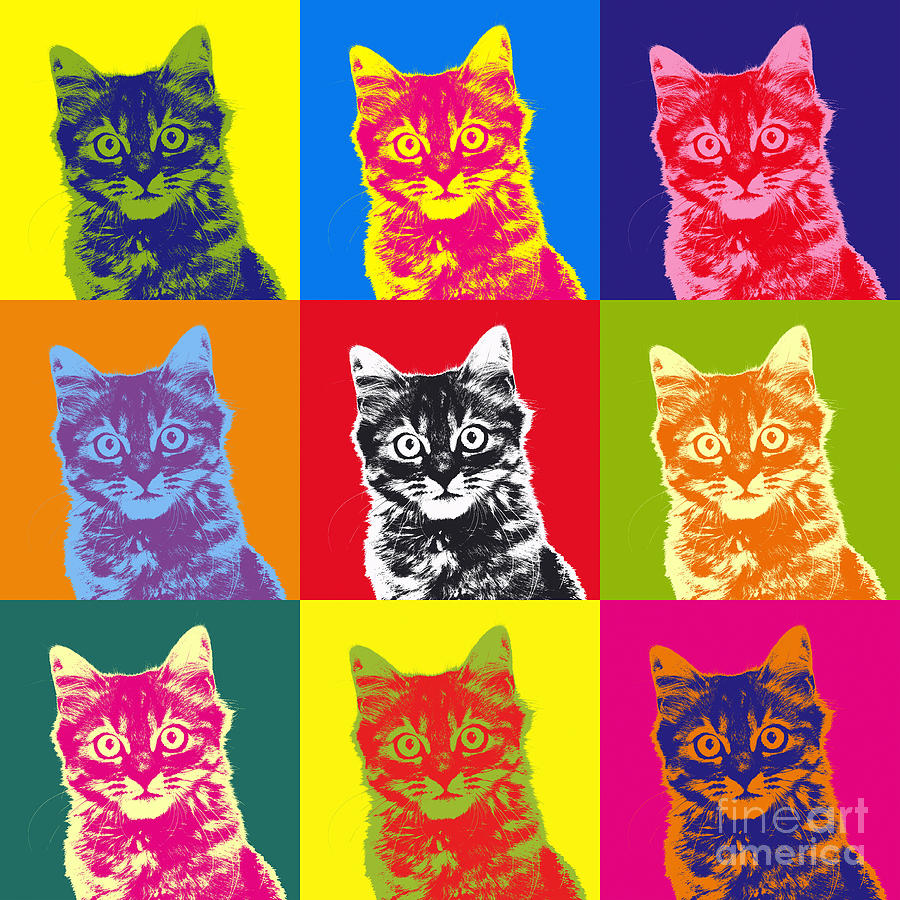 Andy Warhol Cat Photograph by Warren Photographic