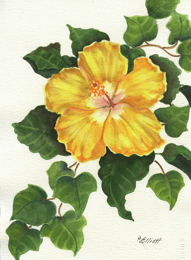 Andys Hibiscus Painting by Marsha Elliott | Fine Art America