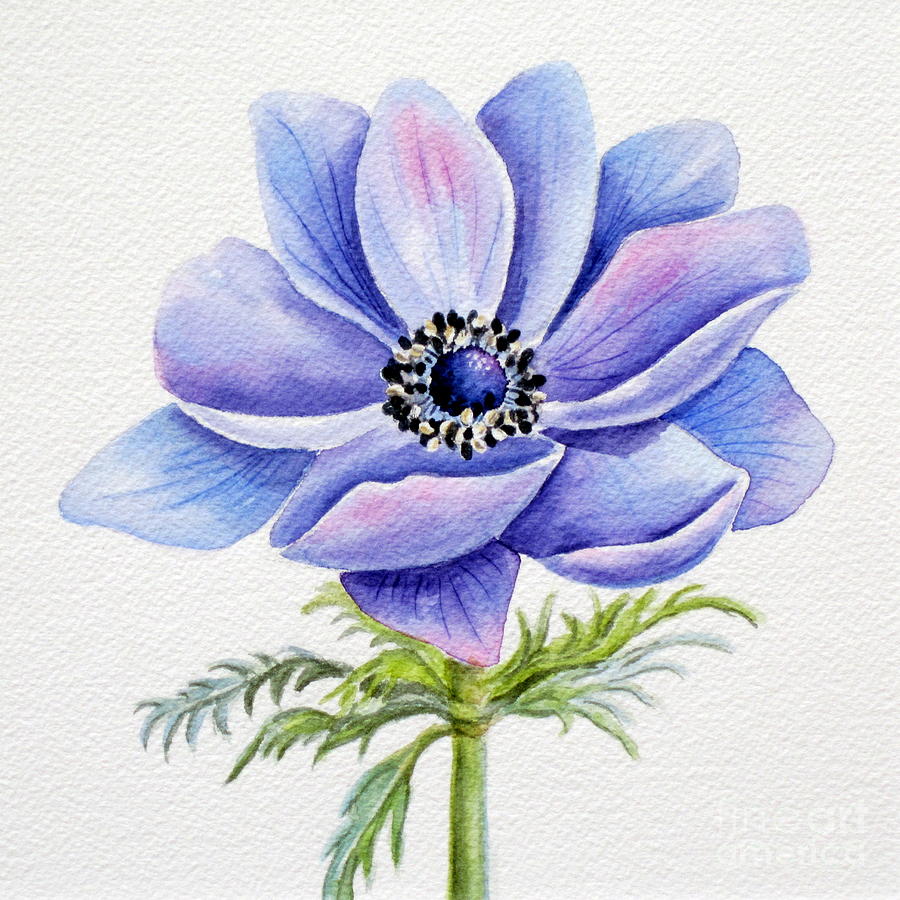 Flowers Still Life Painting - Anemone by Deborah Ronglien